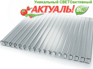 Сотовый поликарбонат Актуаль Bio (Казань) 6 мм прозрачный